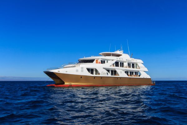 Elite-exterior4